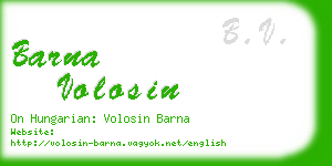barna volosin business card